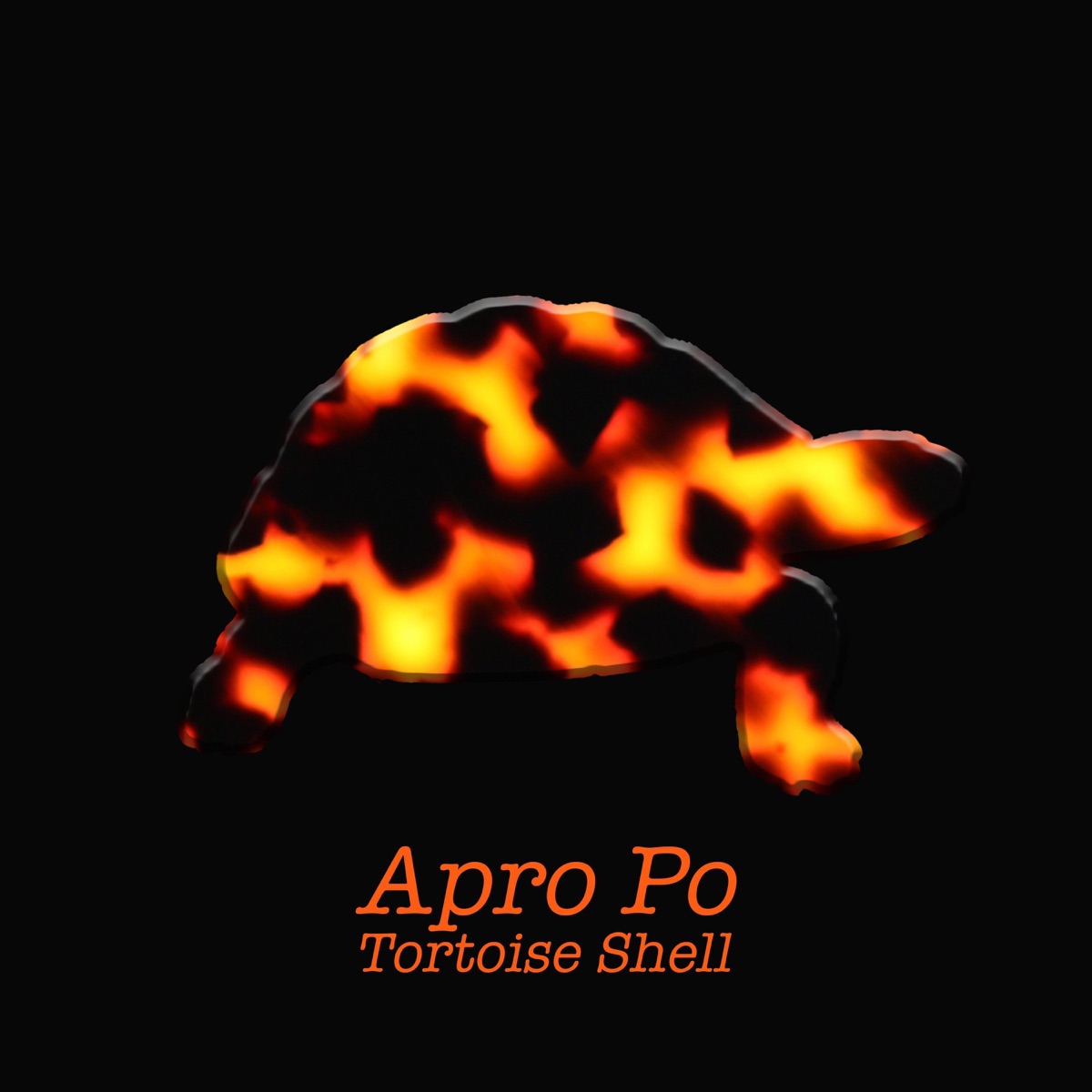 Tortoise Shell by Apro Po — official cover artwork